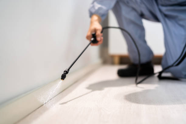 Licensed Termite Control service in Jasper County County, MS - Nex Pest Control