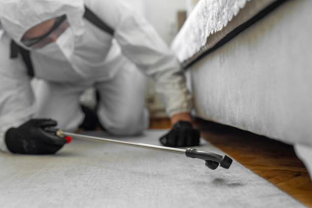 Professional Termite Control technician working in Jasper County County, MS